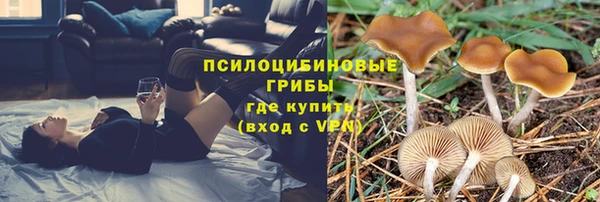 а пвп мука Абдулино