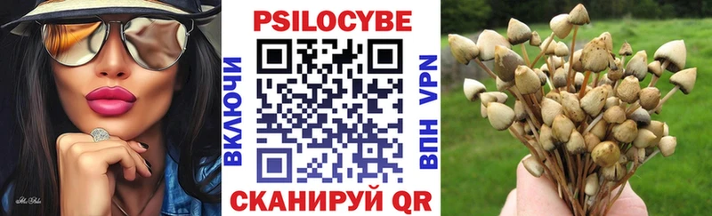 Галлюциногенные грибы мухоморы Тутаев