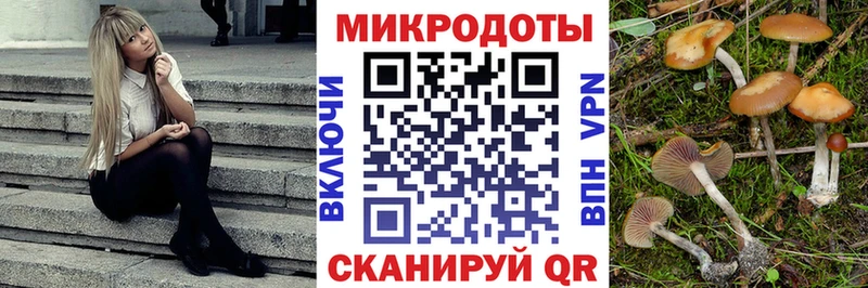 darknet Telegram  Тутаев  Галлюциногенные грибы Magic Shrooms 